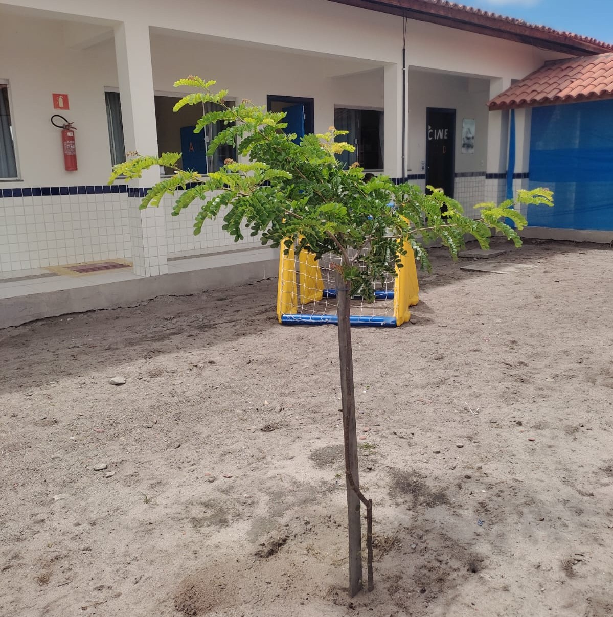 Atividade na Escola Irmã Dulce