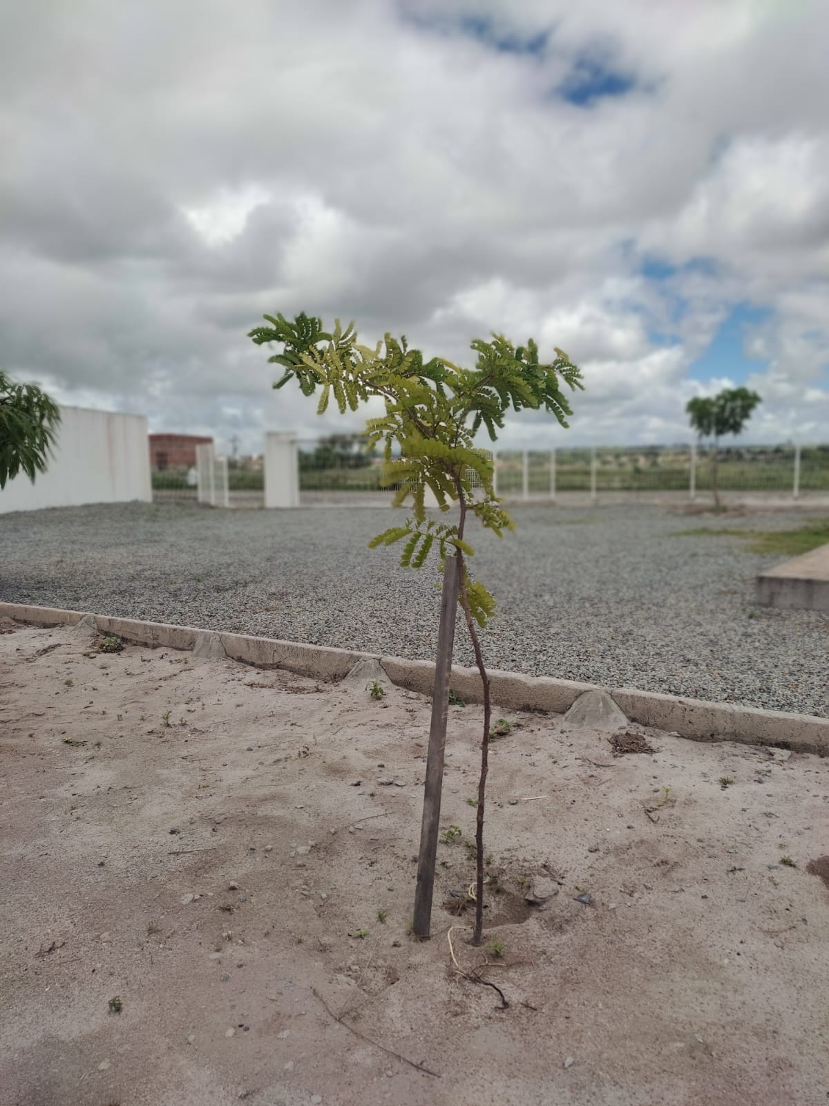 Atividade na Escola Irmã Dulce